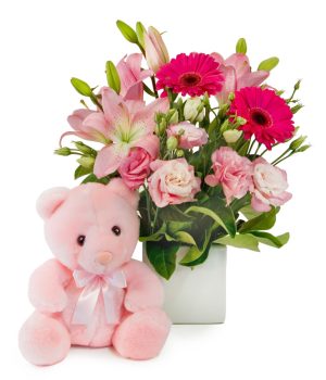 Welcome, Little Rose